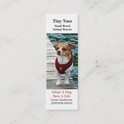 Jack Russell Terrier Dog Rescue Bookmark Biz Card
