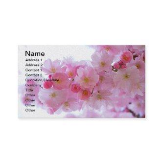 Japanese Cherry Tree Flower