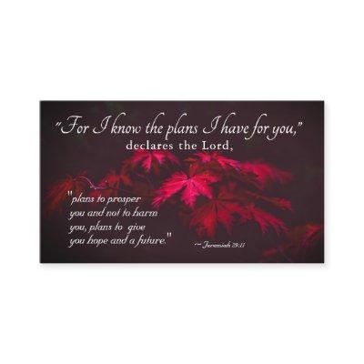 Jeremiah 29:11 For I know the plans I have for you