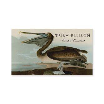 John James Audubon Brown Pelican Artwork Painting