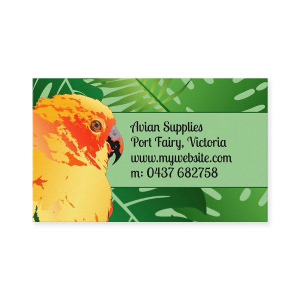 Jungle Conure Orange Parrot Green Leaves Avian