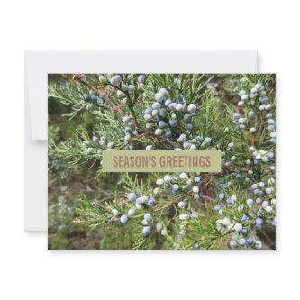 Juniper landscaping business holiday card