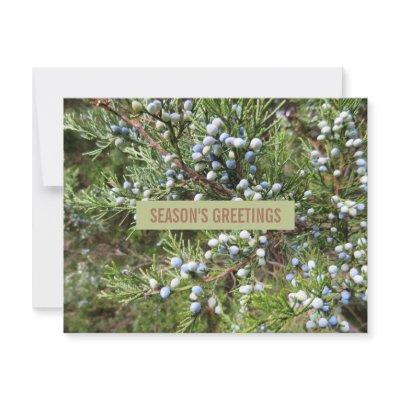 Juniper landscaping business holiday card