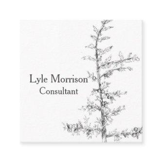 Juniper Tree Branch Pen Ink Drawing Black White Square