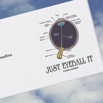 Just Eyeball It (Eye Anatomy Approximation Saying)