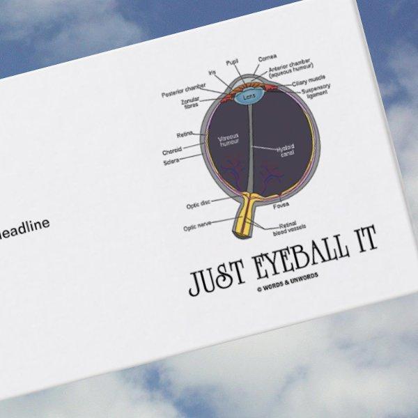 Just Eyeball It (Eye Anatomy Approximation Saying)