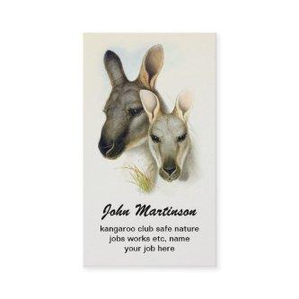 kangaroo