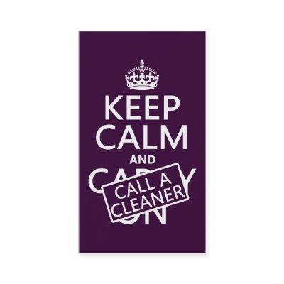 Keep Calm and Call A Cleaner
