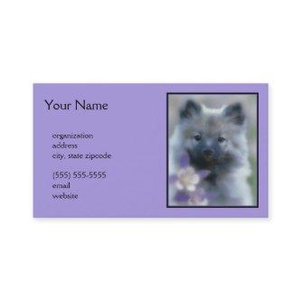 Keeshond and Columbine  - Dog Photograph