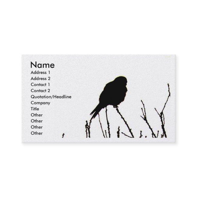 Kestrel