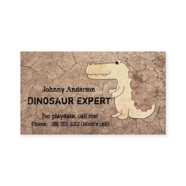 Kid Dinosaur Expert  For Boy Playdate