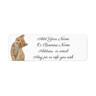 Kitten Labels