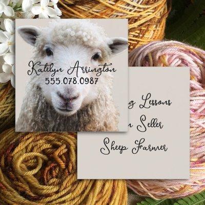Knitting FIber Sheep Wool Square