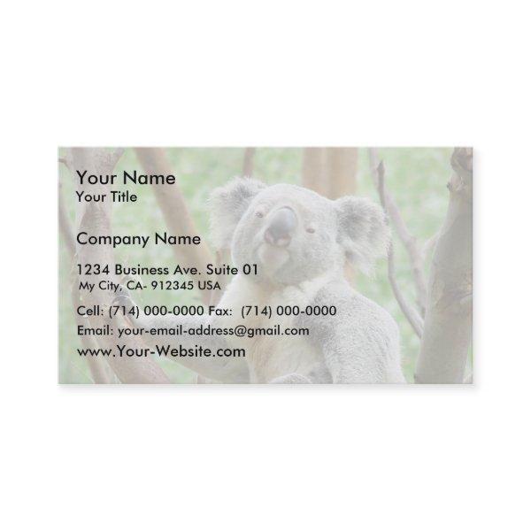 Koala Bear Sitting On The Tree At Perth Zoo