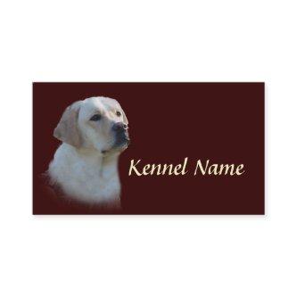 Labrador Retriever Breeder