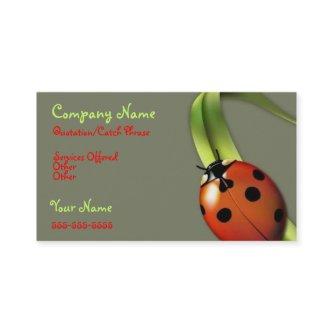 Lady Bug