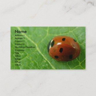 Ladybug Customizable