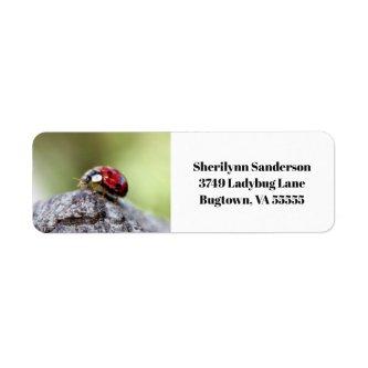 Ladybug Photo Label