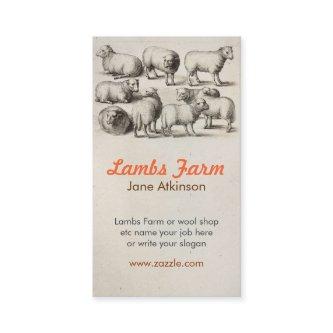 lambs wool