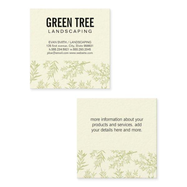 Landscaping Architecture | Juniper Branches Square