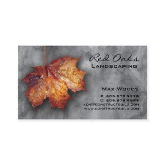 Landscaping  Stone Maple Leaf