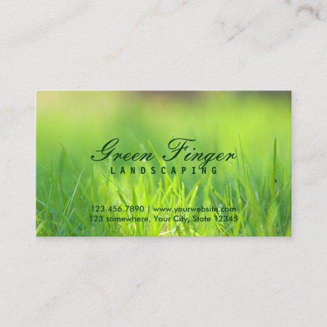 Landscaping & Lawn Care Green Finger