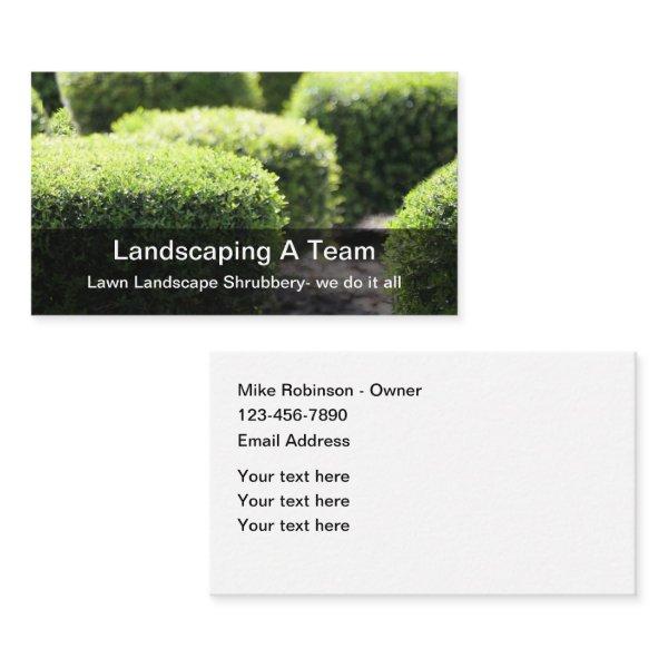 Landscaping Shrubs Modern