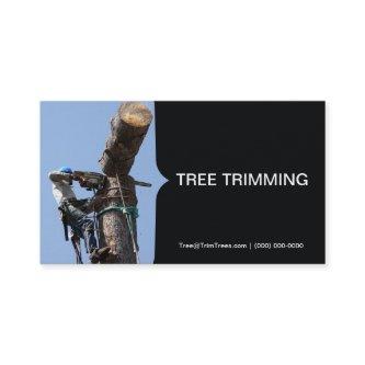 Landscaping Tree Trimming