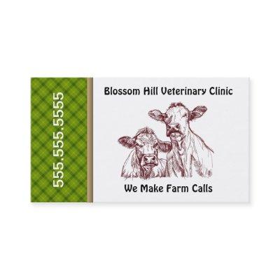 Large Animal Veterinary