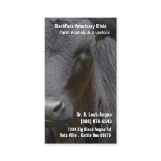 Large Livestock Veterinarian - Black Angus Cow