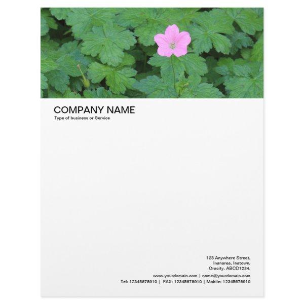Large Picture Header - Single Geranium Letterhead