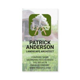 Large Tree | Hedge Clipper | Landscaping