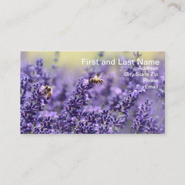 Lavender - Bee