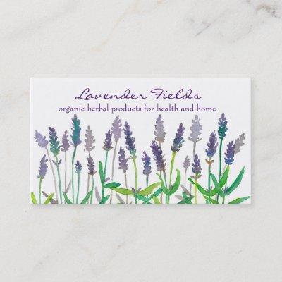 Lavender Field Herb Watercolor Flowers
