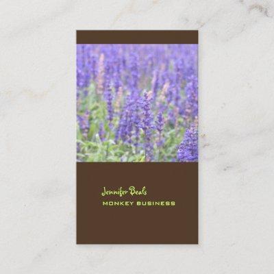Lavender field photograph + chocolate