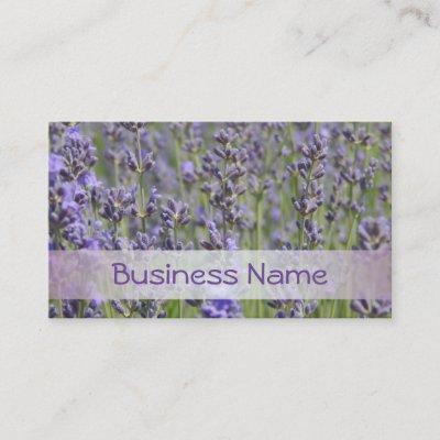 Lavender fields - Flower Shop