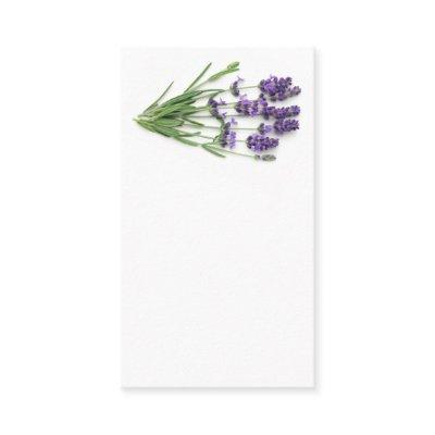 Lavender Flowers Isolated On White Background