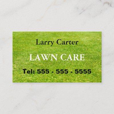 Lawn Care Green Grass Gardening
