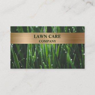 Lawn Care Landscape modern professional yard Busin