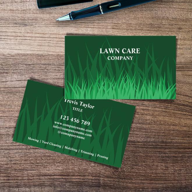 Lawn Care Landscape modern professional yard