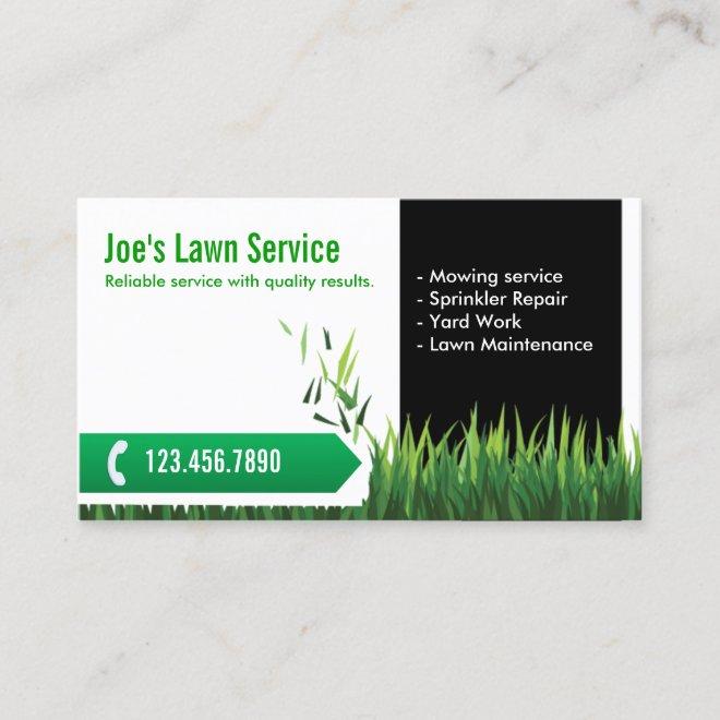 Lawn Care Landscaping Professional Mowing