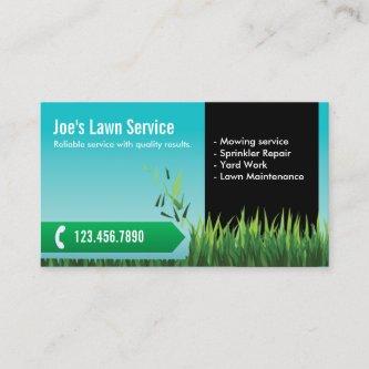 Lawn Care Mowing Landscaping