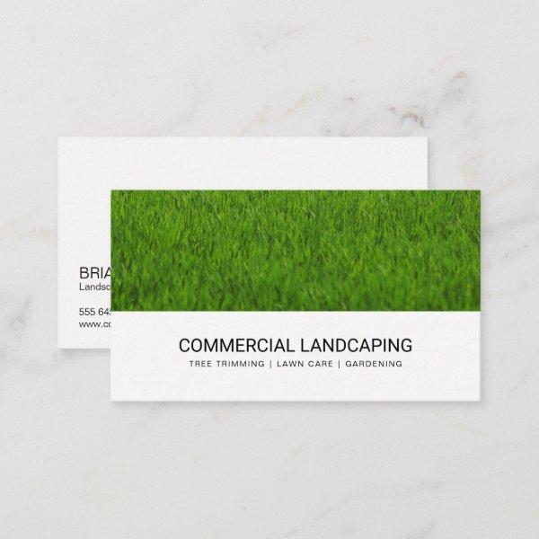 Lawn Grass | Gardening | Landscaping