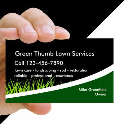 Lawn Landscaping Service