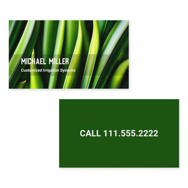 Lawn Mowing Irrigation