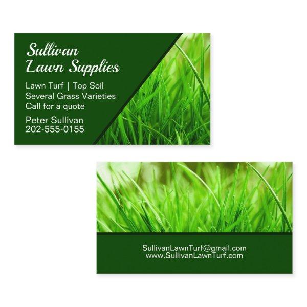Lawn Turf Grass Top Soil Supplier