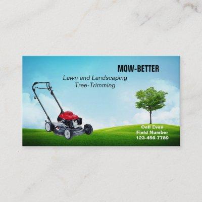 Lawnmower and Landscaping