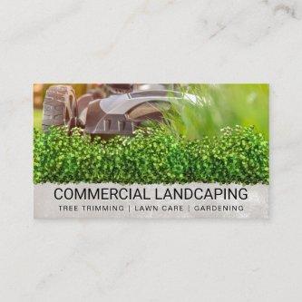 Lawnmower Cutting Grass | Landscape | Bushes