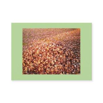 Leaf Raking and Removal