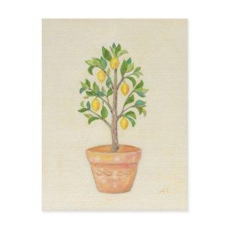 Lemon Tree postcard